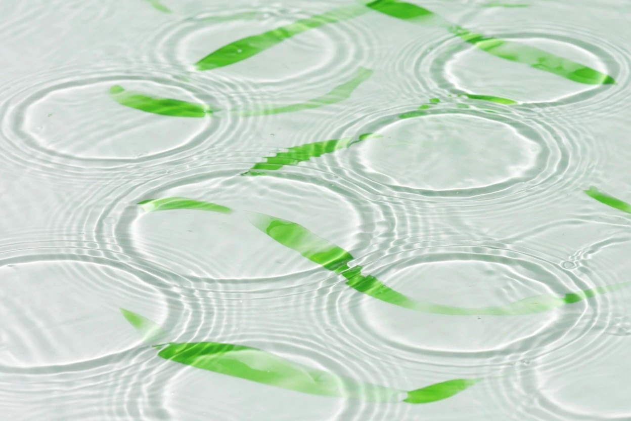 Bright water surface with circular ripples and green leaves.