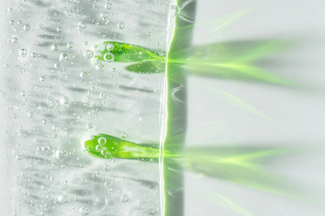 Close-up of a clear water surface with bubbles and green leaves.